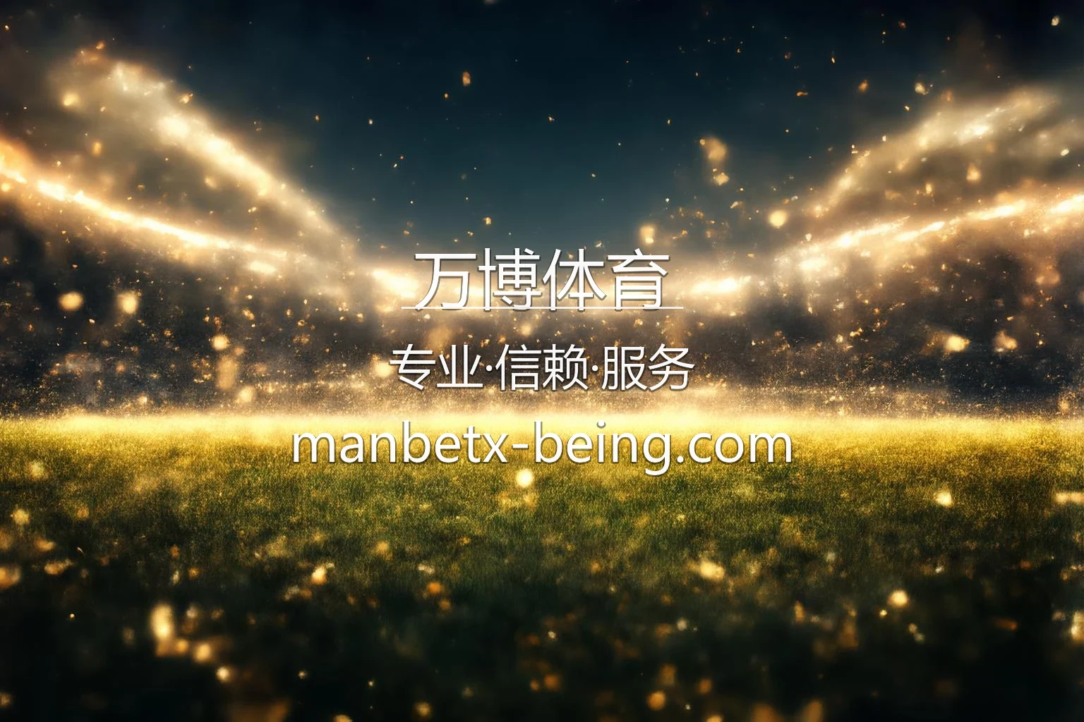 万博体育官网全站服务